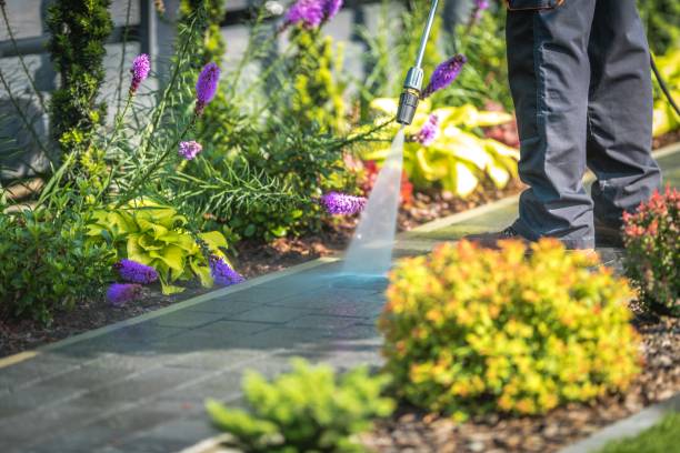 Best Winterizing Services  in Nocona, TX