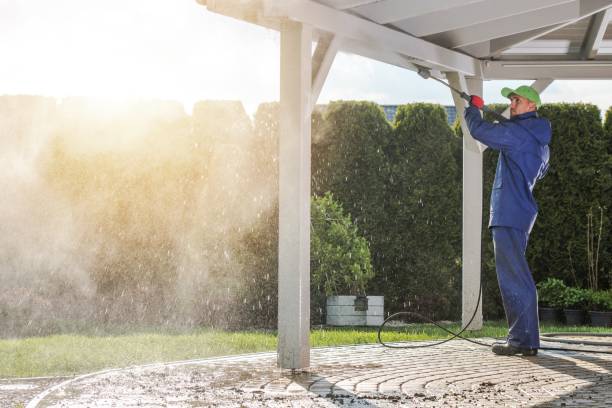 Best Soft Washing  in Nocona, TX